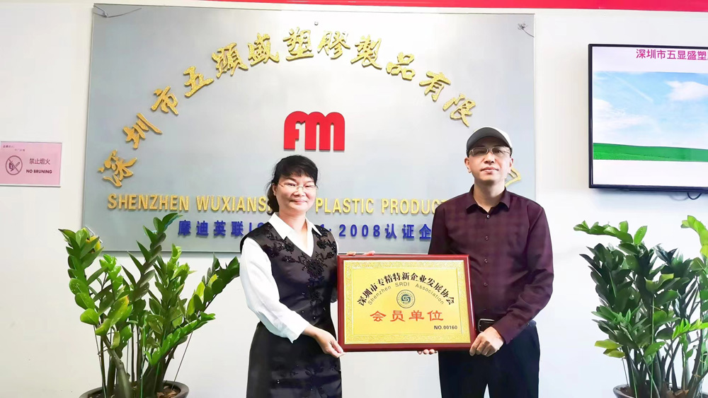 专精特新授牌.jpg